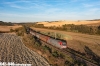 91 83 2 494.018-1 I-MIR_Orciano Pisano(PI)_23 Settembre 2021_CARNETTI Paolo.jpg