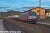 91 83 2 494.542-0 I-SGR_Montelupo(FI)_30 Settembre 2024_CARNETTI Paolo.jpg