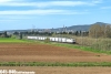 91 83 2 483.022-6 I-SE_Vada(LI)_22 Aprile 2015_CARNETTI Paolo.jpg